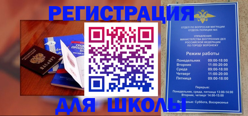 прописка для работы в Лузе